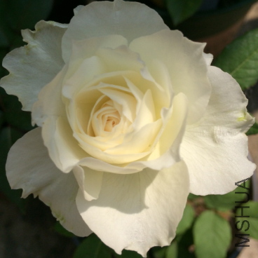 QQ��ͼ20150724140932.png