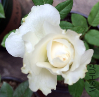 QQ��ͼ20150724140839.png