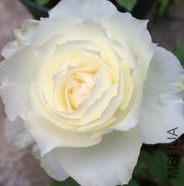 QQ��ͼ20150724141022.png