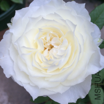QQ��ͼ20150724141042.png