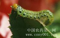 t017c8743a4841fdee8.jpg