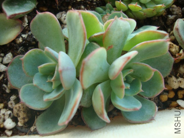 DSC03968.JPG