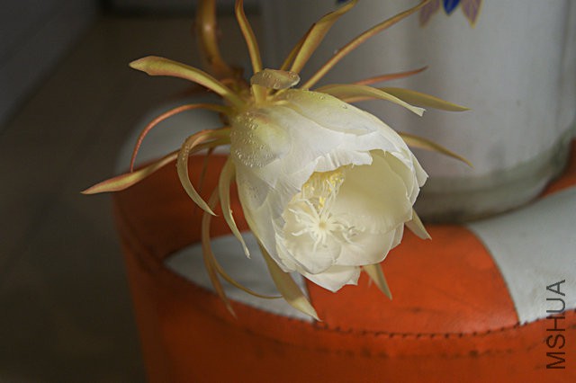 DSC00028.JPG