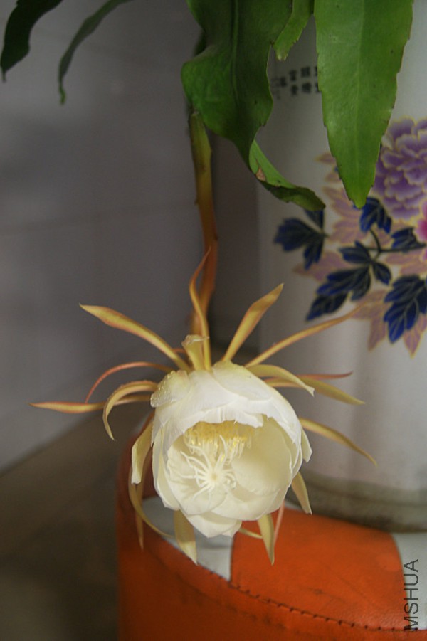 DSC00033.JPG