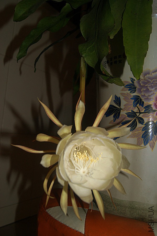 DSC00057.JPG