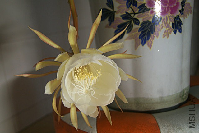 DSC00067.JPG