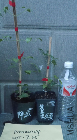 QQͼƬ20150725195039.png
