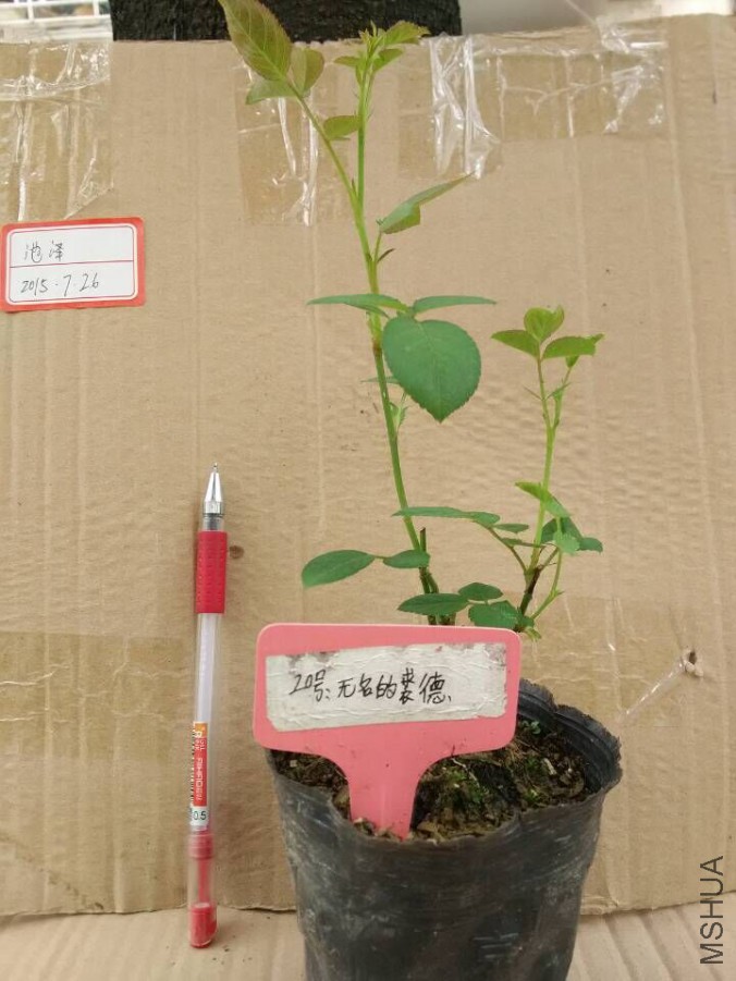 QQͼƬ20150726125931.jpg