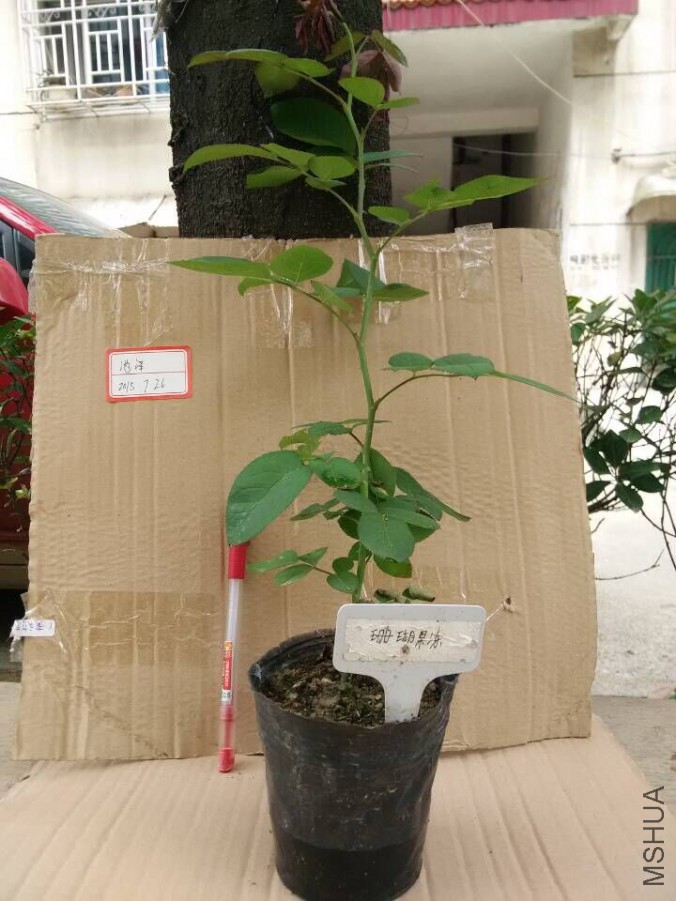 QQͼƬ20150726125938.jpg