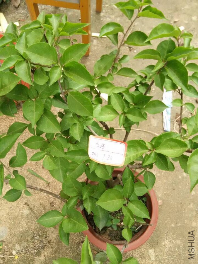 QQͼƬ20150726125953.jpg