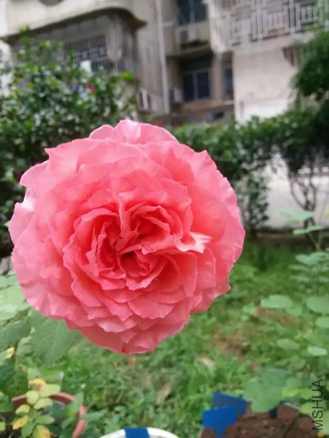 ����