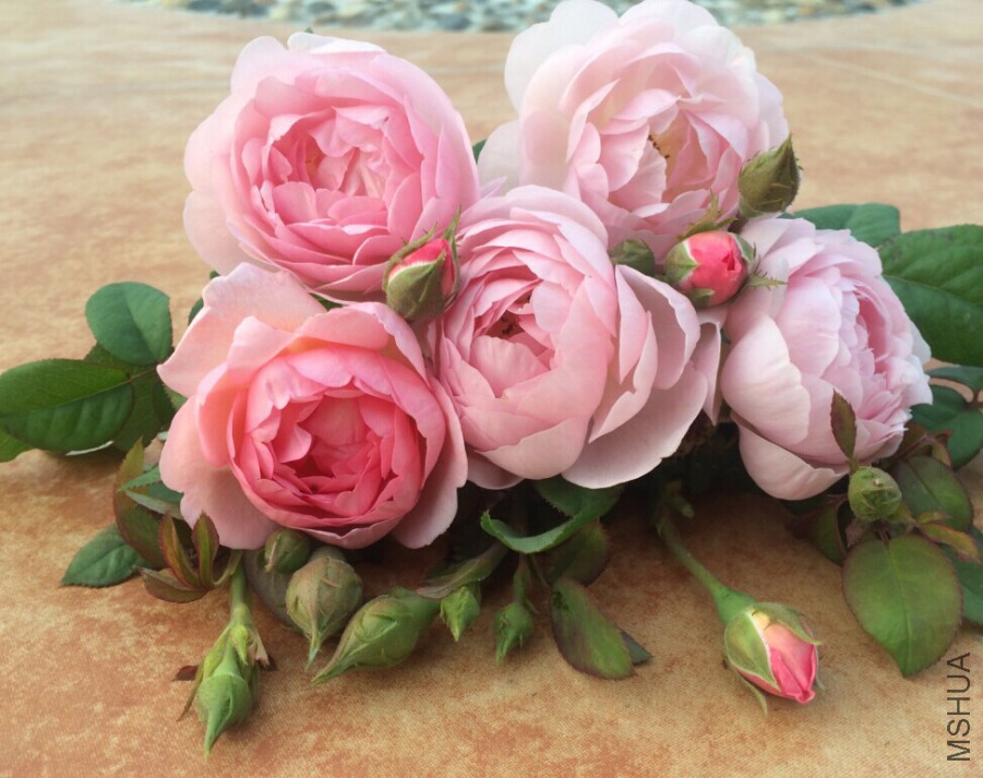 QQͼƬ20150726234810.jpg