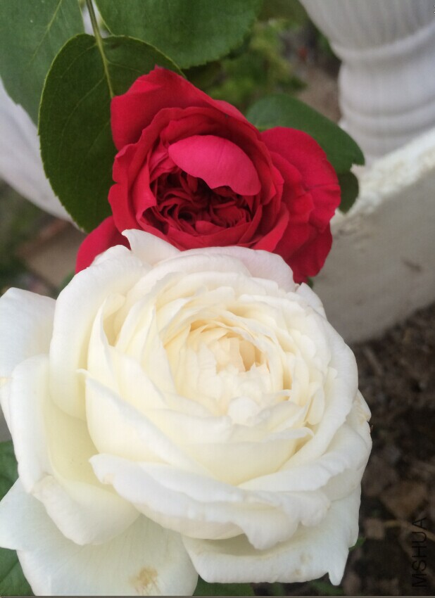 QQͼƬ20150726235436.jpg