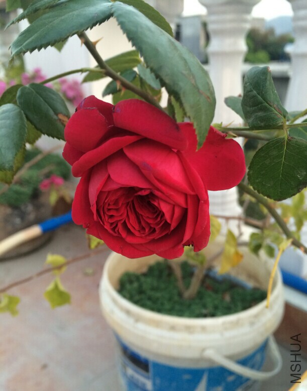 QQͼƬ20150726235456.jpg