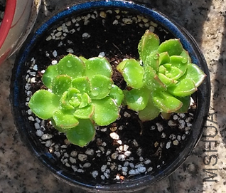 QQͼƬ20150727075332.png