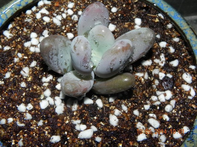 220231pk9b4vz889cz0v9k.jpg