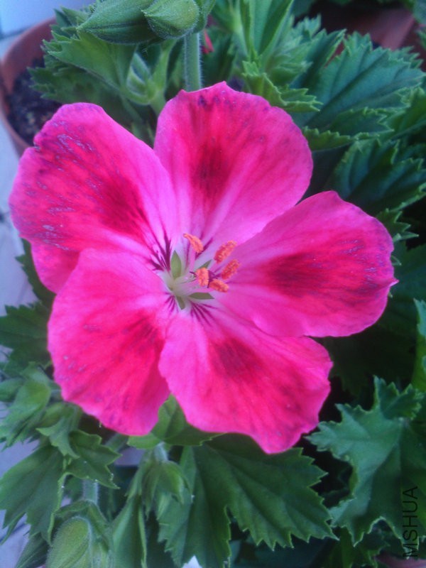 2015�껨IMG_20150505_133902.jpg