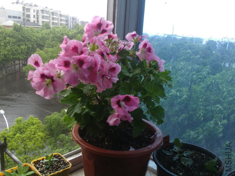 2015�껨IMG_20150508_092952.jpg