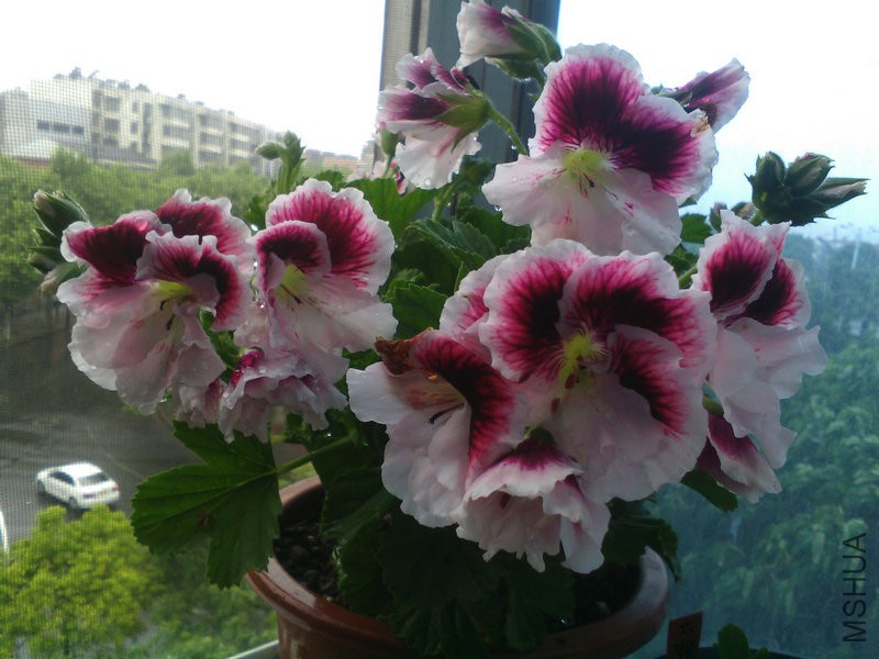 2015�껨IMG_20150508_093214.jpg