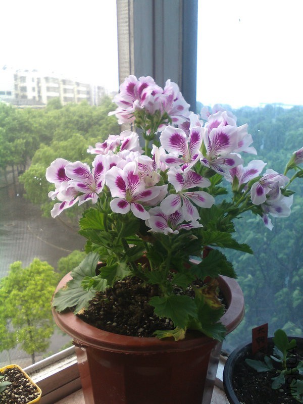 2015�껨IMG_20150508_093330.jpg