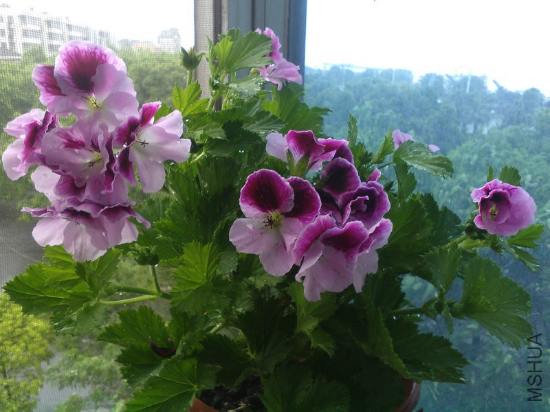 2015�껨IMG_20150508_093610.jpg