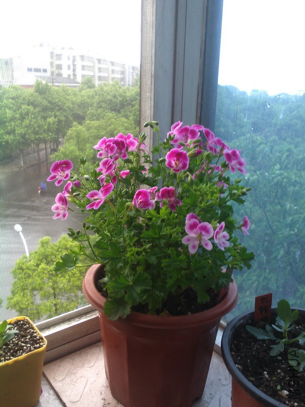 2015�껨IMG_20150508_093748.jpg