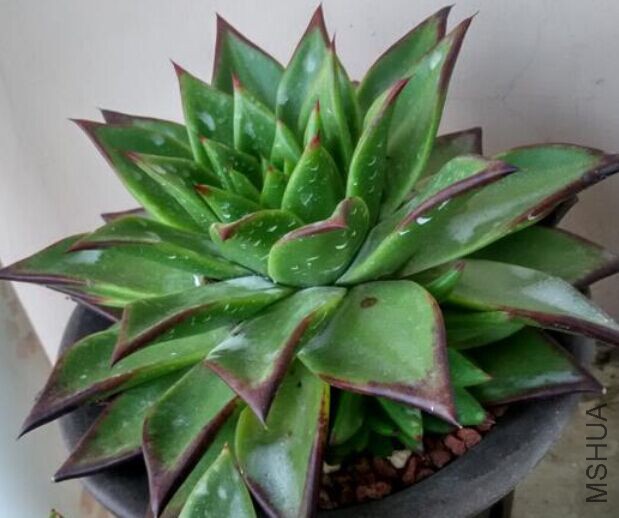 QQͼƬ20150727090241.jpg