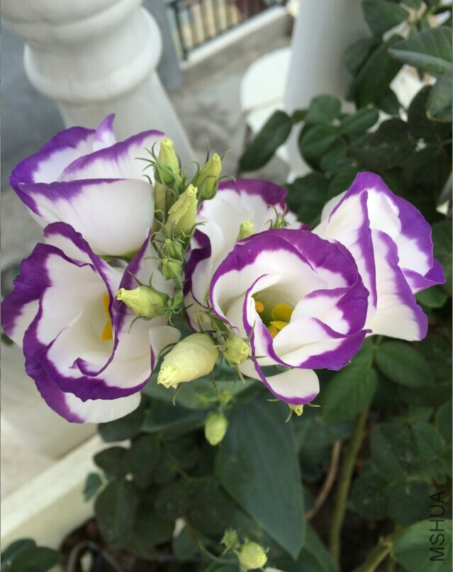 QQͼƬ20150727133005.jpg