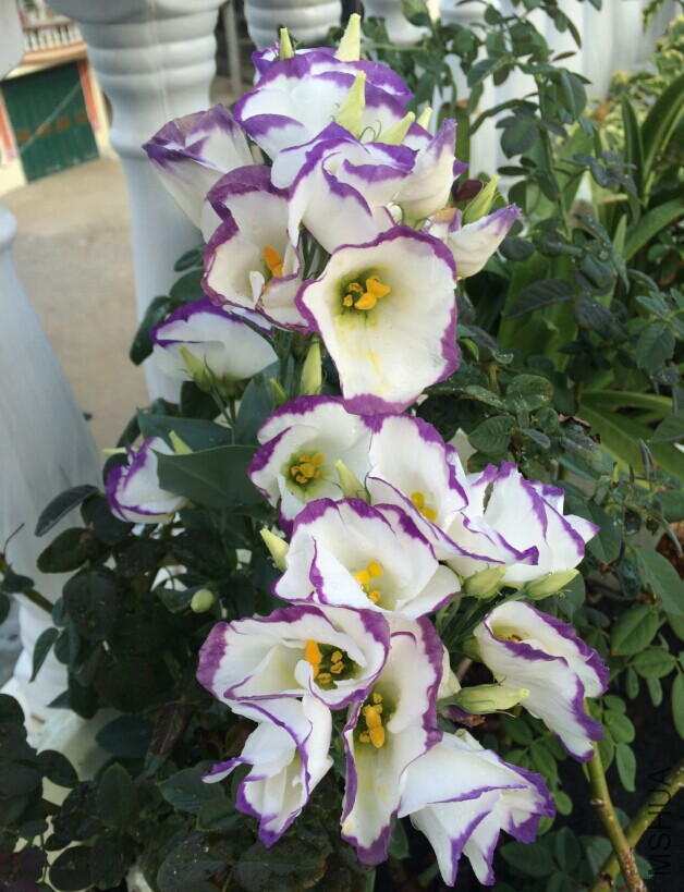 QQͼƬ20150727133031.jpg
