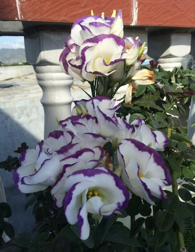 QQͼƬ20150727133145.jpg