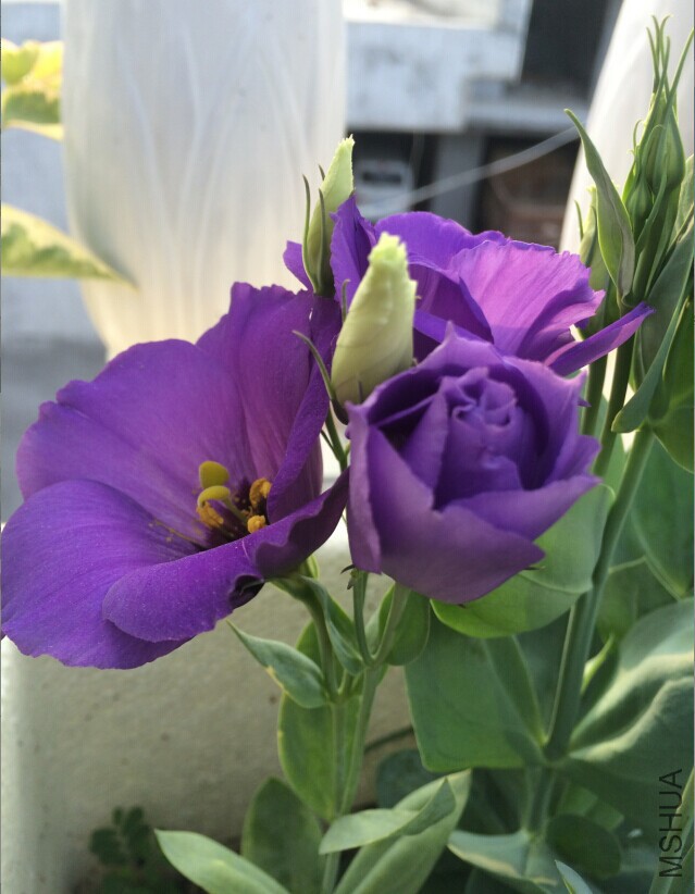 QQͼƬ20150727133221.jpg