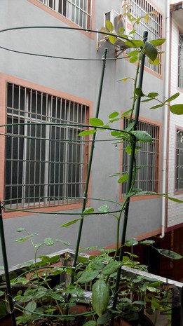 ����������� (4).jpg