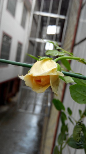 ����������� (3).jpg