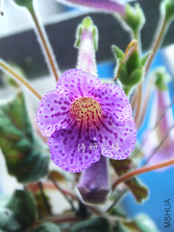 DSCF1417_����.jpg