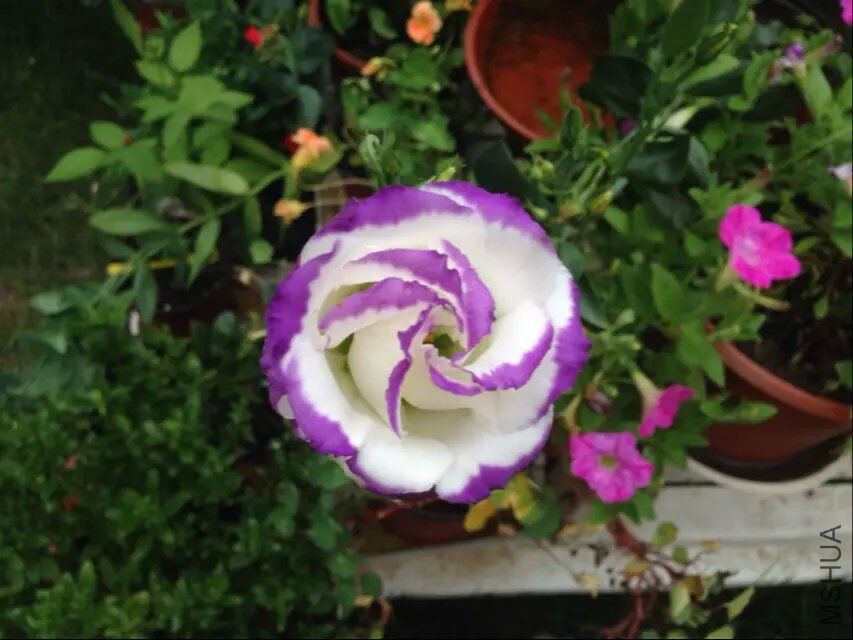 QQͼƬ20150728142704.jpg