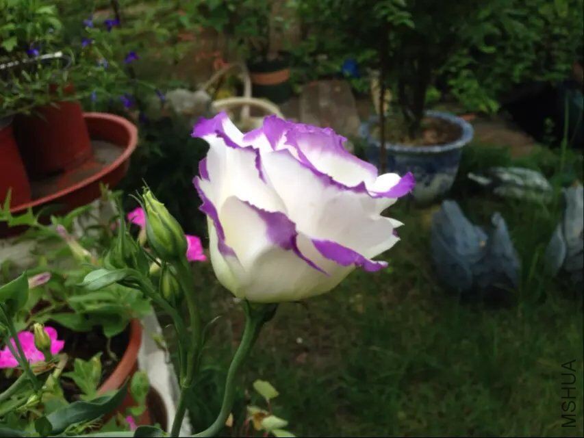 QQͼƬ20150728142713.jpg
