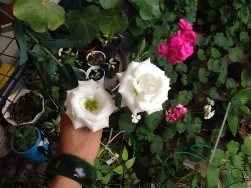 QQͼƬ20150728142723.jpg