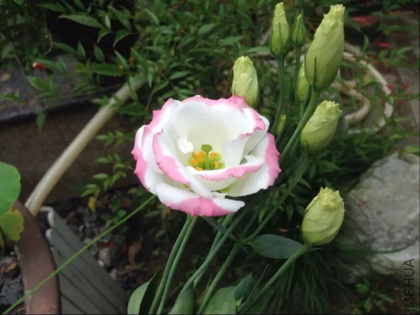 QQͼƬ20150728142728.jpg
