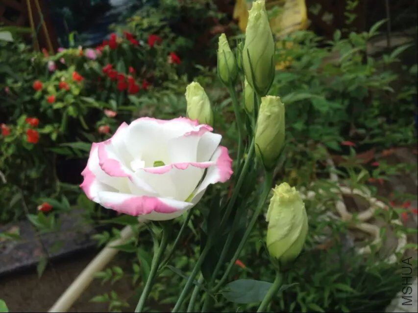 QQͼƬ20150728142735.jpg