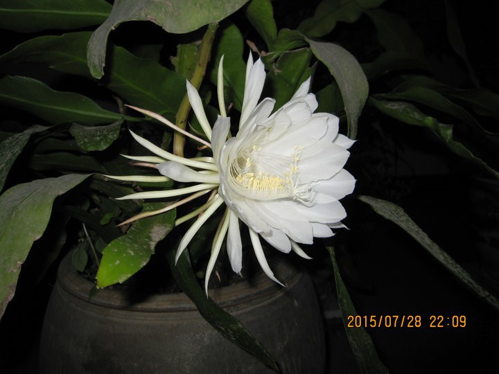 IMG_2156.JPG