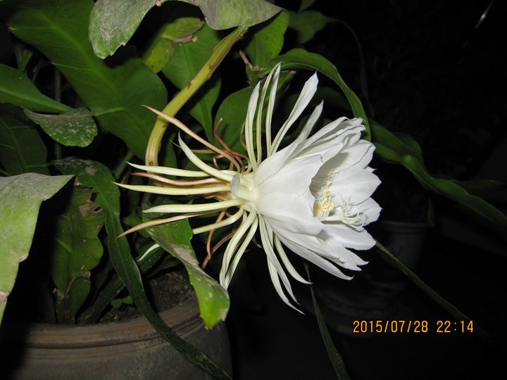 IMG_2169.JPG