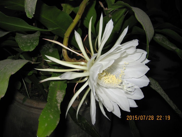 IMG_2181.JPG
