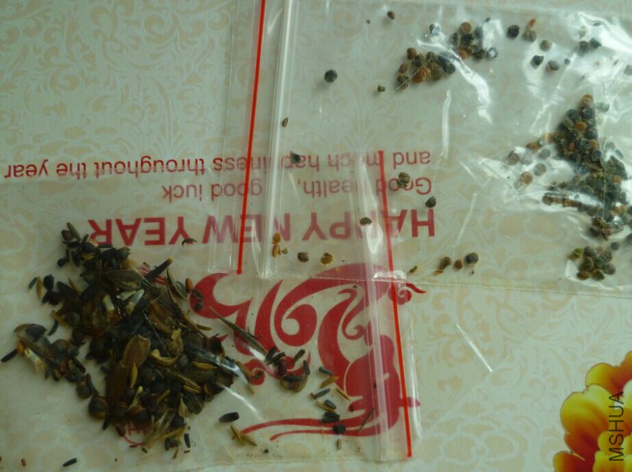 QQͼƬ20150729101947.jpg