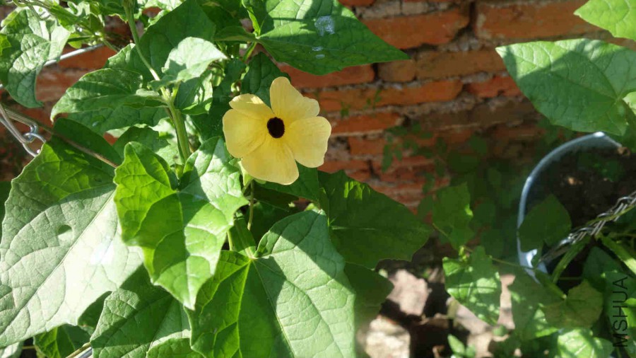 DSC01005_meitu_10.jpg