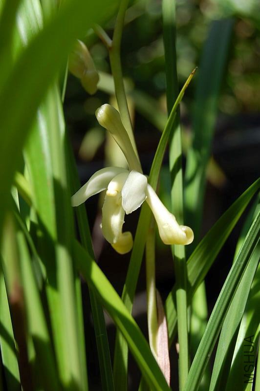 DSC_01000100.JPG