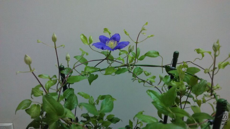 QQͼƬ20150730012422.jpg
