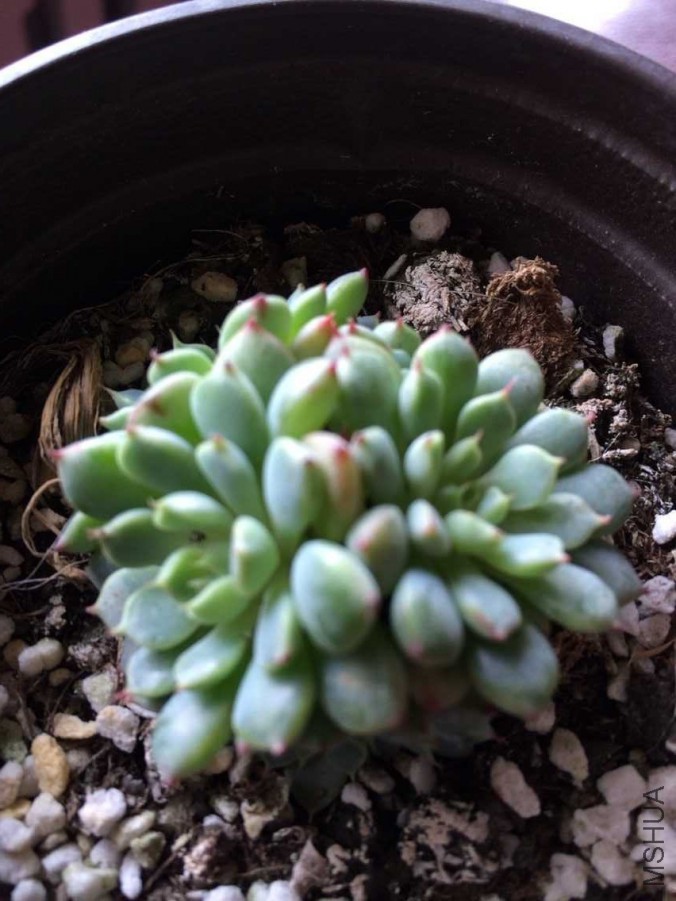 QQͼƬ20150730112322.jpg