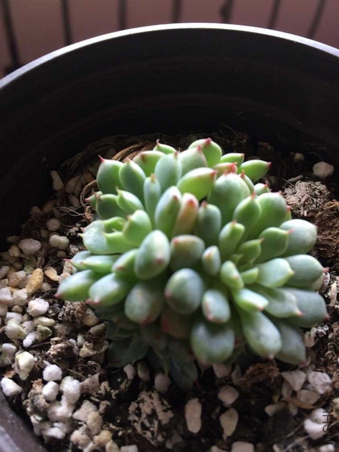 QQͼƬ20150730112339.jpg