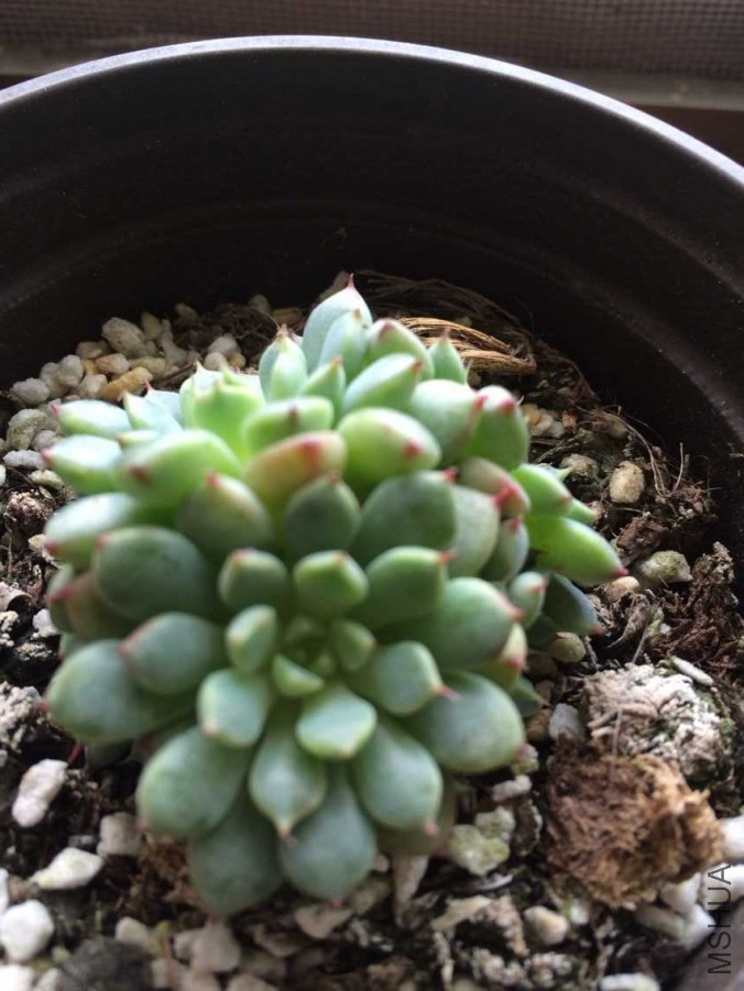 QQͼƬ20150730112342.jpg