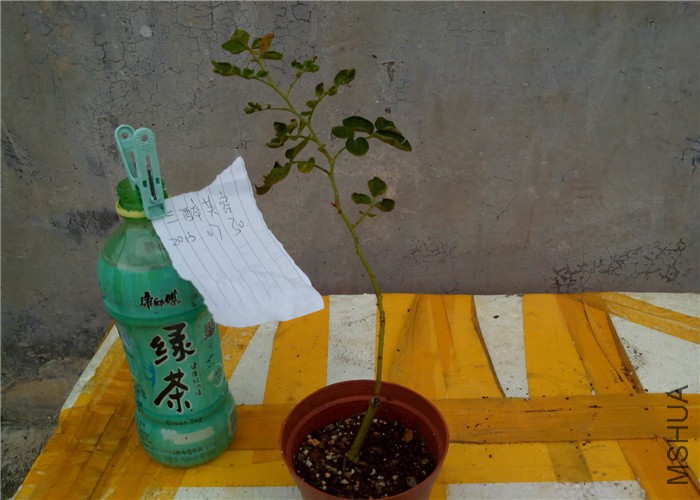 �ٱ���ܽ����.jpg